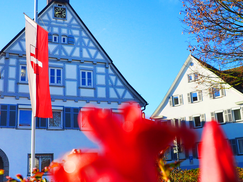 das Rathaus im Frühling mit blühenden Blumen und Beflaggung