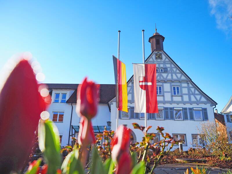 Vor dem Uhinger Rathaus, einem Fachwerkhaus mit zwei gehissten Flaggen im Vordergrund, stehen rote Blumen in Blüte.