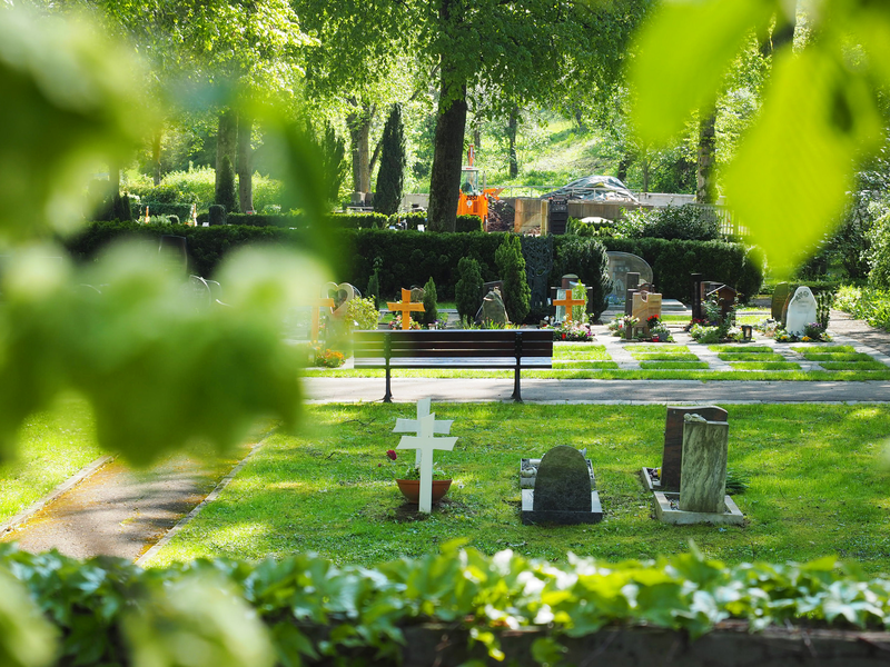Grabsteine und Kreuze auf einer Rasenfläche auf dem Friedhof. Davor steht eine Bank an einem Schotterweg. Im Hintergrund weitere Grabfelder mit Grabsteinen und Pflanzen auf den Gräbern, sowie mächtige Bäume.