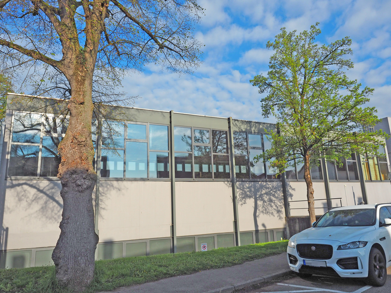 Vor einem modernen, fensterreichen Gebäude - die Turnhalle der Hieberschule - stehen zwei Bäume und ein weißes Auto auf einem Parkplatz.
