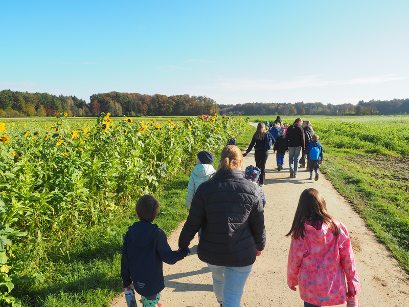 Kinder und Betreuer der Ferienbetreuung spazieren auf einem Feldweg neben einem blühenden Sonnenblumenfeld unter einem klaren blauen Himmel am Ortsrand von Sparwiesen.